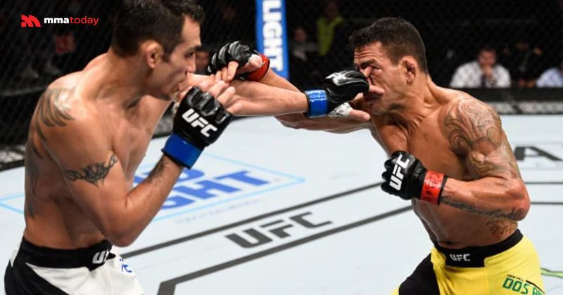 Các lỗi phạm quy và đòn cấm trong MMA