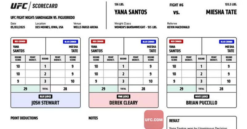 Cách đọc thẻ điểm của 3 giám định UFC