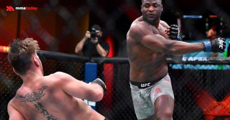 Kỹ thuật MMA ở các hạng cân nặng (Light Heavyweight & Heavyweight)