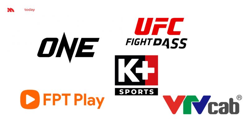 So sánh các nền tảng xem UFC & ONE Championship