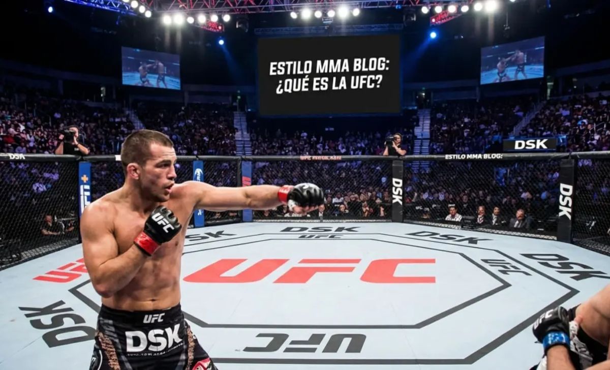 UFC là gì? Giải mã giải đấu võ thuật đối kháng đỉnh nhất hành tinh