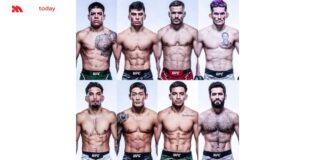 Kỹ thuật MMA hạng lông (featherweight): Phân tích chiến thuật đặc trưng