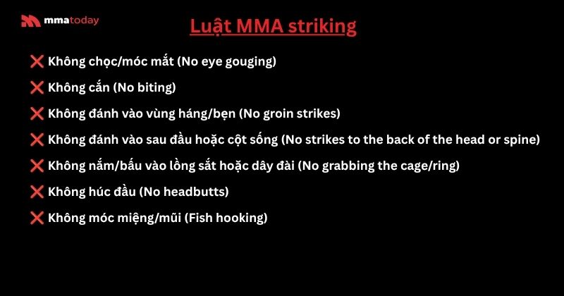 Luật MMA striking chi tiết