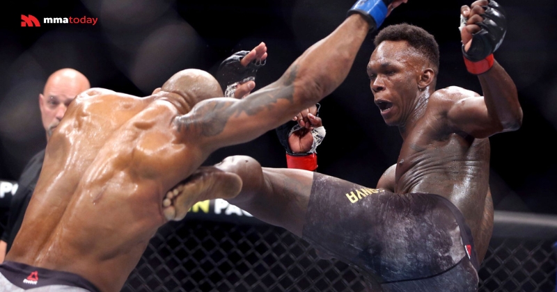 Hướng dẫn và phân tích toàn diện kỹ thuật MMA cho hạng nặng nhẹ (Light Heavyweight)