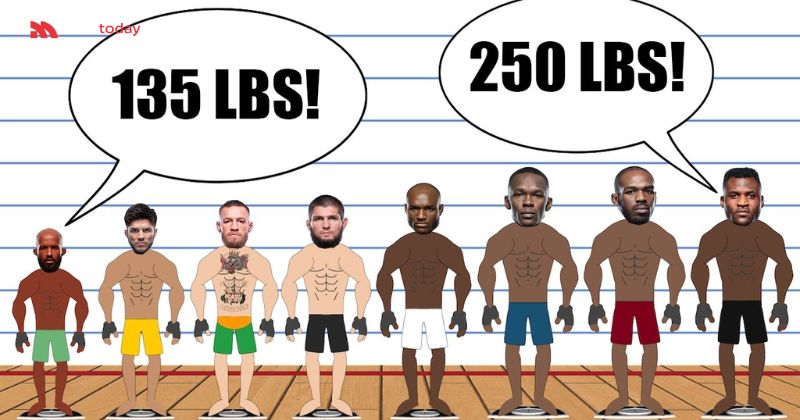 Tại sao cần phân chia các hạng cân trong MMA