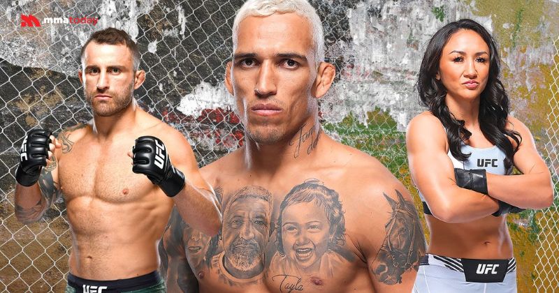 kỹ thuật MMA ở các hạng cân khác
