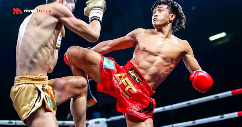 Đánh võ đài là gì? Kỹ năng, luật đấu và lộ trình lên sàn cho người mới