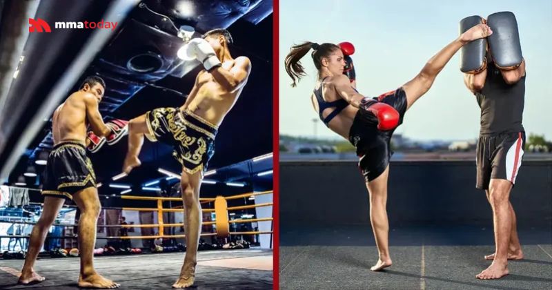 Lộ trình tập để lên đài cho người mới
